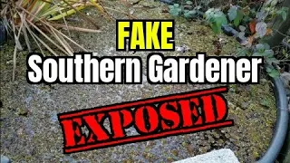 Garden Tour from a Fake Southern Gardener (SHEDWARS22SH)G