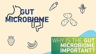 Why is the gut microbiome important?