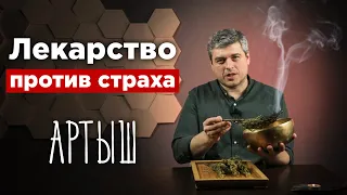 Артыш - лучшее растение для очищения. Шаманская трава