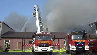 [700 SCHWEINE VERENDET] Bauernhofbrand in Metelen - Große Rauchwolke - 70 Einsatzkräfte im Einsatz