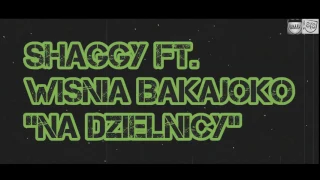 SHAGGY ft. Wiśnia Bakajoko - NA DZIELNICY