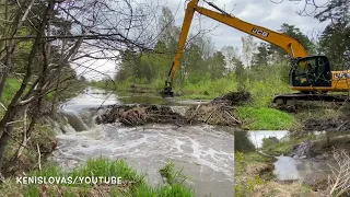 Beaver Dam Removal Compilation! Excavator and manual removals.