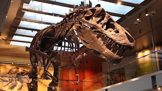 Dinosaur Hall Virtual Tour - Filipino #DinoHall #LA #LosAngeles #Filipino