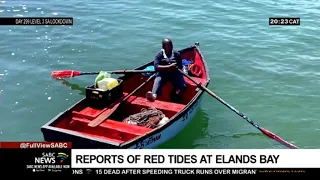 Reports of Red Tides at Elands Bay in the Western Cape
