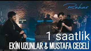 Ekin Uzunlar & Mustafa Ceceli - Bahar & Sözleri & 1 saat