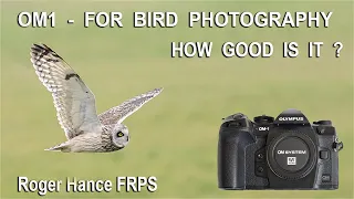 OM1 for Bird Photography - Field Test - How Good Is The Autofocus for Flight Photography ?