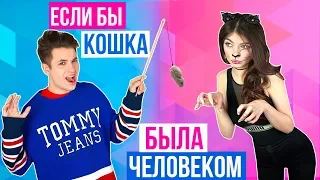 ЕСЛИ БЫ КОШКА БЫЛА ЧЕЛОВЕКОМ 2