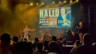 Halid Muslimovic - Concert -  40 god karijere - Borik - BL - live