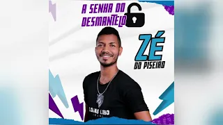 Zé do Piseiro - Pague Meu Cachê