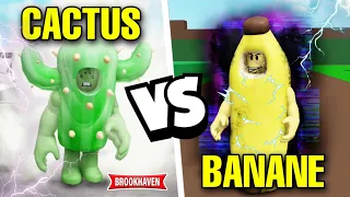 CACTUS CONTRE LE ROI BANANE POUR LA DÉFENSE DE BROOKHAVEN ! FILM ROBLOX RP - ANIMATION