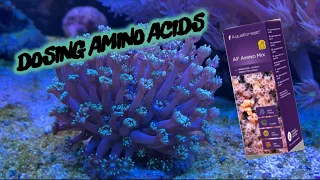 Dosing Amino Acids