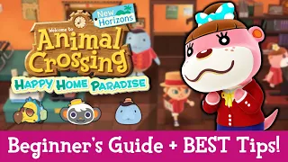 Happy Home Paradise Tips + Guide for New Players! New Animal Crossing Update 2.0, New Horizons DLC!