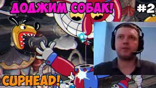 Папич играет в Cuphead! Доджим собак! 2