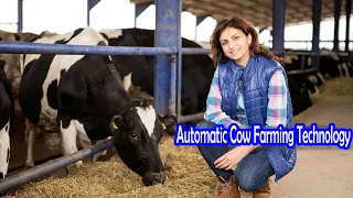 Incredible Modern Automatic Cow Farming Technology - Fastest Feeding, Cleaning and Milking Machines