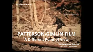 Patterson-Gimlin Film—A Different Point of View