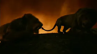 Симба против шрама - Король лев 2019 |в хорошем качестве (сорян, проблемы со звуком).