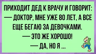 💎Смешные До Слёз Жизненные Анекдоты! А Я Вчера Девушку в Зоопарк Водил.И Как? Представляешь...