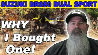 SUZUKI DR650 Dual Sport! WHY I Bought One!