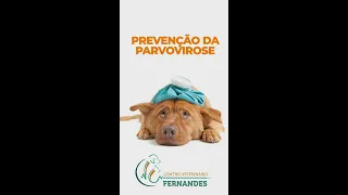 Prevenção da Parvovirose