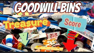 Digging in the Goodwill Bins | Thrifting for Treasures to Resell | Only Spent $27 Today