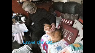 😻🐾   ❄ Leone with Dad Keith ❄ #amadriadi #cats #gatos