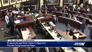 Democrats protest on House floor over proposed redistricting map