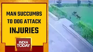 Watch: Man Mauled To Death By Stray Dogs In Aligarh Muslim University Campus