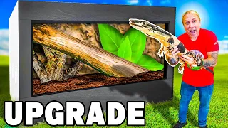 Huge Upgrade On My Giant Lizards Cage!