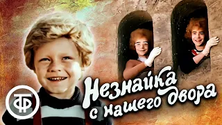 Незнайка с нашего двора (1983)