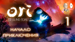 Впервые прохожу Ори! Начало приключения. | Ori and the Blind Forest #1