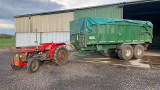 Massey Ferguson 135 automatic pick up hitch.