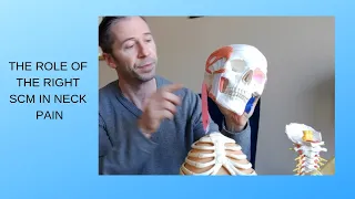 SCMs (Sternocleidomastoids), the neck, and Postural Restoration