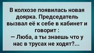 Доярка по Колхозу Без Трусов Ходит! Сборник Свежих Анекдотов! Юмор!