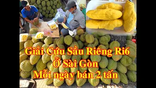 Sầu riêng Ri6 bán chất đống giá rẻ bèo ở Sài Gòn | sầu riêng ri6 miền Tây | Saigon Now