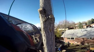 Aerial Friction Removal of a Large Cottonwood Using SafeBloc and Thunder  Sling.