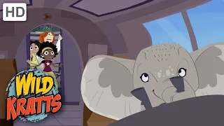 Wild Kratts | Elephant in the Room | Full Episode | Season 1