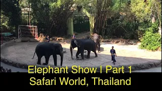 Elephant Show | এলিফেন্ট শো | Part 1 | Safari World | Bangkok | Thailand