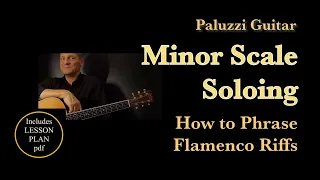 Minor Scale Soloing Guitar Lesson for Beginners [How to Solo and Phrase with Rhythm]