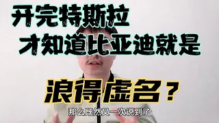 开完特斯拉，才知道比亚迪就是浪得虚名？