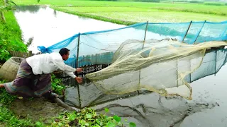Fisherman fishing fish with cast net 2021