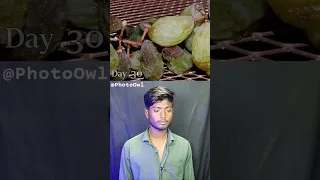 Grapes 🍇 Time-Lapse  50 Days - From Fresh to Rotten #shorts #timelapse #rahulbamauriya