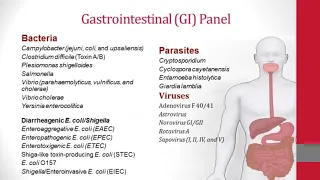 Diagnosis and Prevention of Acute Diarrhea: What Do the Guidelines Say?