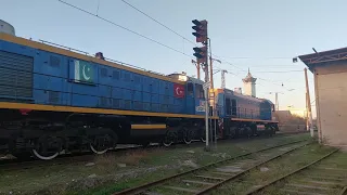 TEM2U-8664 & TEM2M-046 shunting diesel locomotives