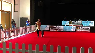 Dogdance Freestyle Intermediate. Anastasiia Beaumont and Salsa