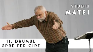 Vladimir Pustan | MATEI | 11. Drumul spre fericire | Cireșarii TV | 03-martie-2021