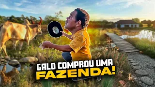 A NOVA FAZENDA DO GALO CEGO ELE QUER SOSSEGO E SEGREDO, SERÁ? 🤣🤣 | GALO CEGO