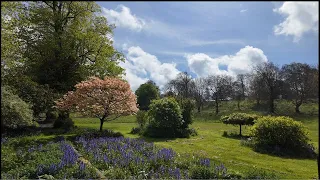 A short video of Findon Horse Paddocks | West Sussex | England.