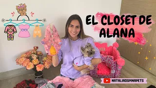 CLOSET DE ALANA- Mi yorkie / Natalia Ospina Pets