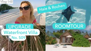 VLOG 145 | UPGRADE - Waterfront Villa No.509 | Haie & Rochen |  Pflanzenwelt Malediven März18