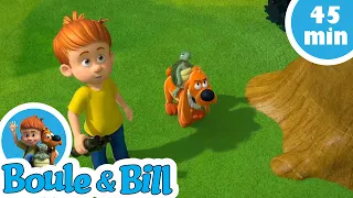 🌳 Boule et Bill profitent de la nature au parc 🏞- Nouvelle compilation Boule et Bill FR